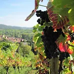 Am Bauerngarten Apartman *