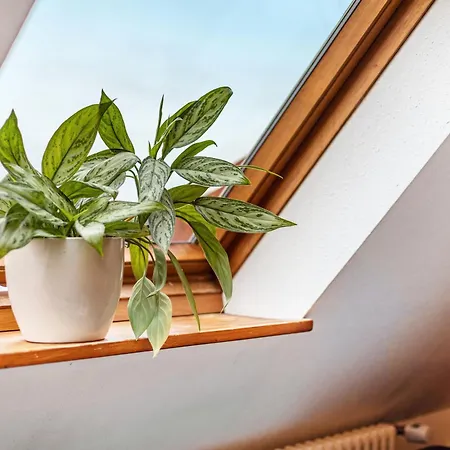 Am Bauerngarten Mullheim (Baden-Wurttemberg)